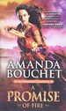 A Promise of Fire (the Kingmaker Chronicles)