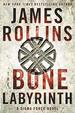 The Bone Labyrinth: a Sigma Force Novel (Sigma Force Novels, 10)