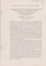 Artificial and Natural Hybrids in the Gramineae Tribe Hordeae. VI. Chromosome Pairing in Secale Cereale X Agropyron Inter-Medium and the Problem of Genome Homologies in the Triticinae
