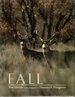 Fall