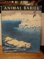 Animal Babies