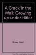 A Crack in the Wall: Growing Up Under Hitler