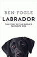 Labrador: the Story of the World? S Favourite Dog
