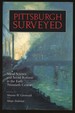Pittsburgh Surveyed: Social Science and Social Reform in the Early Twentieth Century