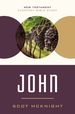 John: Responding to the Incomparable Story of Jesus (New Testament Everyday Bible Study Series)