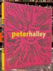 Peter Halley: Maintain Speed