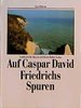 Auf Caspar David Friedrichs Spuren (German Edition)