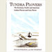 Tundra Plovers: the Eurasian, American and Pacific Golden Plovers and Grey Plover