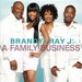 Brandy and Ray J: A Family Business