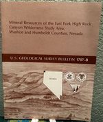 Mineral Resources of the East Fork High Rock Canyon Wilderness Study Area, Washoe and Humboldt Counties, Nevada