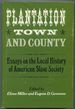 Plantation, Town, and County: Essays on the Local History of American Slave Society