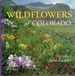 Wildflowers of Colorado