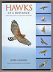 Hawks at a Distance: Identification of Migrant Raptors