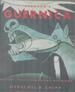 Picasso's Guernica: History, Transformations, Meanings. (California Studies in the History of Art).
