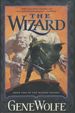The Wizard; Book Two of the Wizard Knight