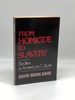 From Homicide to Slavery Studies in American Culture