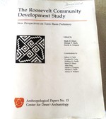 The Roosevelt Community Development Study: New Perspectives on Tonto Basin Prehistory