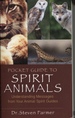 Pocket Guide to Spirit Animals: Understanding Messages From Your Animal Spirit Guides