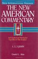 1, 2, 3 John (New International Version of the New American Commentary, Volume 38)