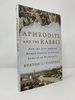 Aphrodite and the Rabbis: How the Jews Adapted Roman Culture to Create Judaism as We Know It