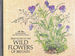 Field Guide to the Wild Flowers of Britain