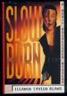 Slow Burn: a Marti Macalister Mystery