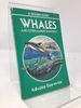 Whales and Other Marine Mammals (Golden Guides)