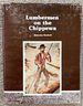 Lumbermen on the Chippewa