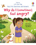 Why Do I (Sometimes) Feel Angry? -Very First Questions and