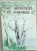 The Wonders of Hwange: Exploring Zimbabwe