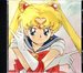 Sailor Moon: Songs From the Hit Tv Series (Anime Series)