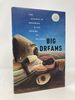 Big Dreams: the Science of Dreaming and the Origins of Religion