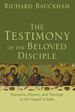 The Testimony of the Beloved Disciple: Narrative, History, and Theology in the Gospel of John