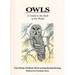 Owls: a Guide to the Owls of the World