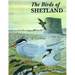 The Birds of Shetland