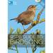 Rspb Guide to Birdsong