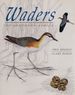 Waders of Southern Africa