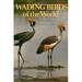 Wading Birds of the World