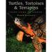 Turtles, Tortoises and Terrapins: Survivors in Armor