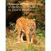 Animals of Asia the Ecology of the Oriental Region