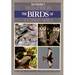 Ian Sinclair's Field Guide to the Birds of Southern Africa