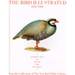 The Bird Illustrated 1550-1900