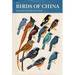 The Birds of China