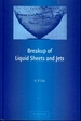 Breakup of Liquid Sheets and Jets
