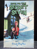 Shock for the Secret Seven