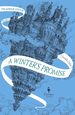 A Winter's Promise: Book One of the Mirror Visitor Quartet