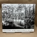 Clyde Butcher: Nature's Places of Spiritual Sanctuary Photographs From 1961 to 1999