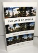 The Lives of Angels