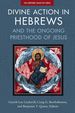 Divine Action in Hebrews: and the Ongoing Priesthood of Jesus (the Scripture Collective Series)