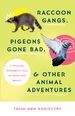 Raccoon Gangs, Pigeons Gone Bad, and Other Animal Adventures: a Wildlife Rehabber's Tale of Birds and Beasts